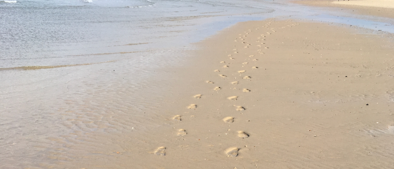 2 Spuren im Sand